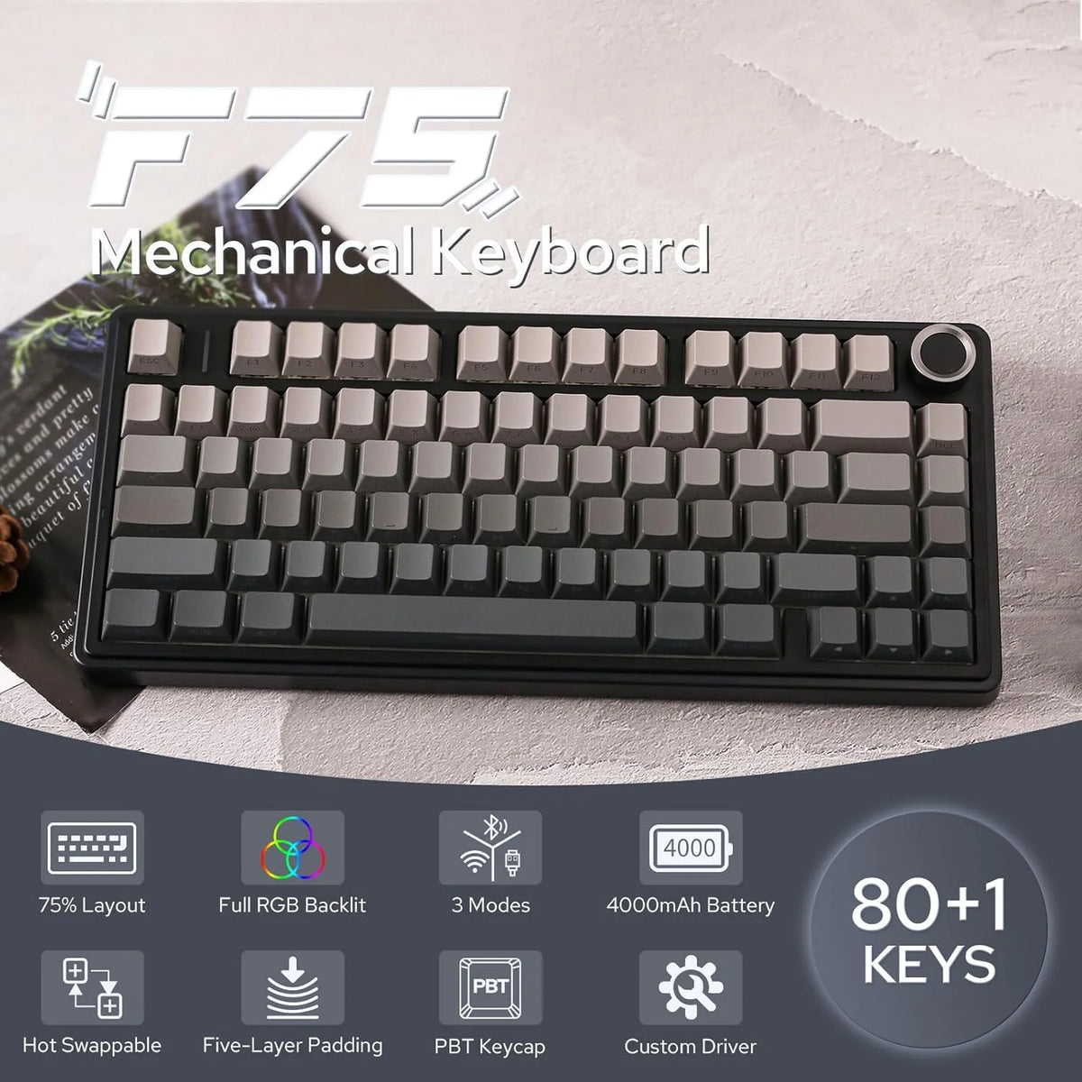 Mechanical keyboard with features highlighted on a light background